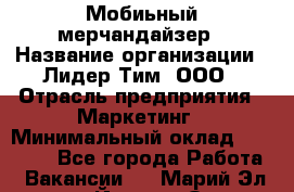 Мобиьный мерчандайзер › Название организации ­ Лидер Тим, ООО › Отрасль предприятия ­ Маркетинг › Минимальный оклад ­ 23 000 - Все города Работа » Вакансии   . Марий Эл респ.,Йошкар-Ола г.